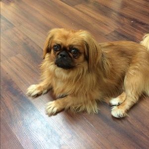 Meet your Posher, Joe